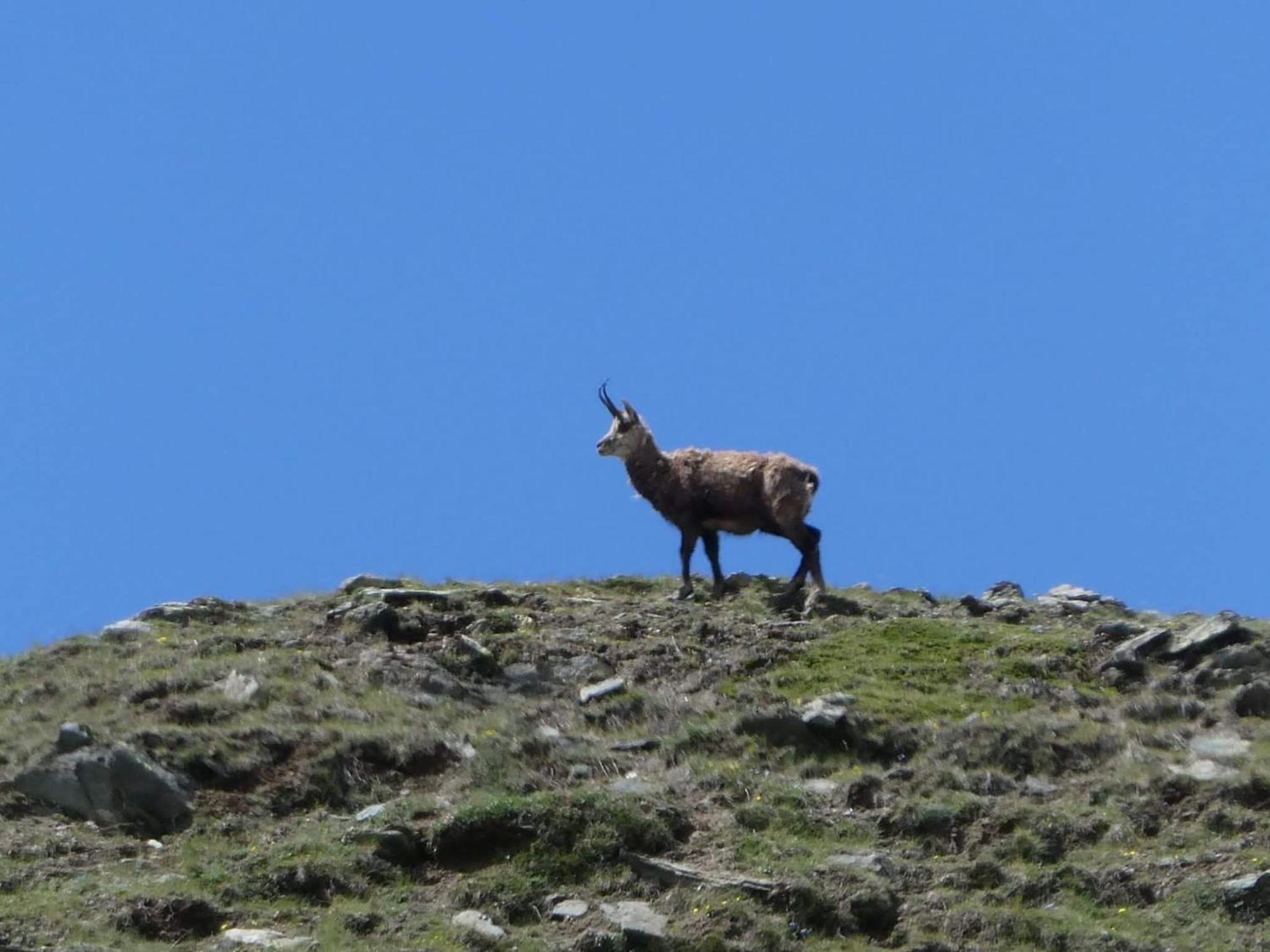 Aosta Maisongnemaz Bagian luar foto
